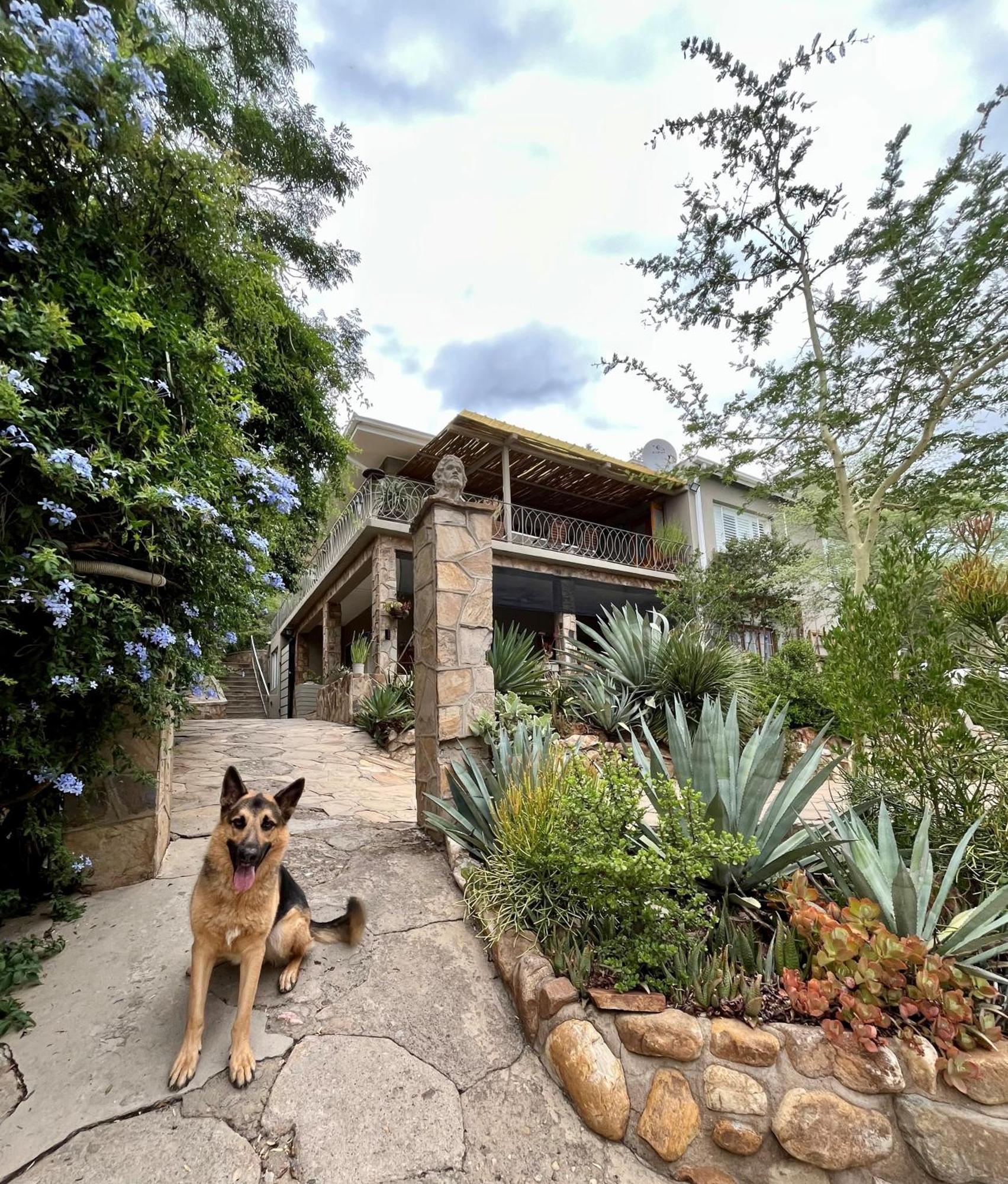 Bryan'S View Apartment Windhoek Exterior photo